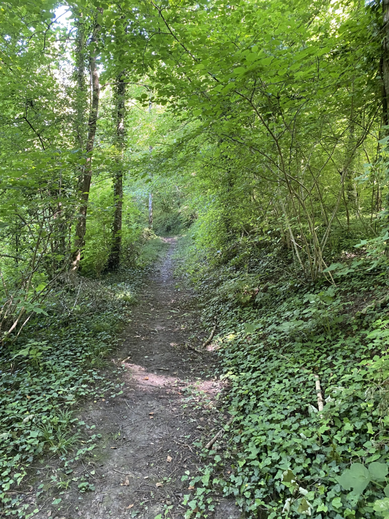 Sentier de la forêt de Retz au départ du gîte, à Cutry