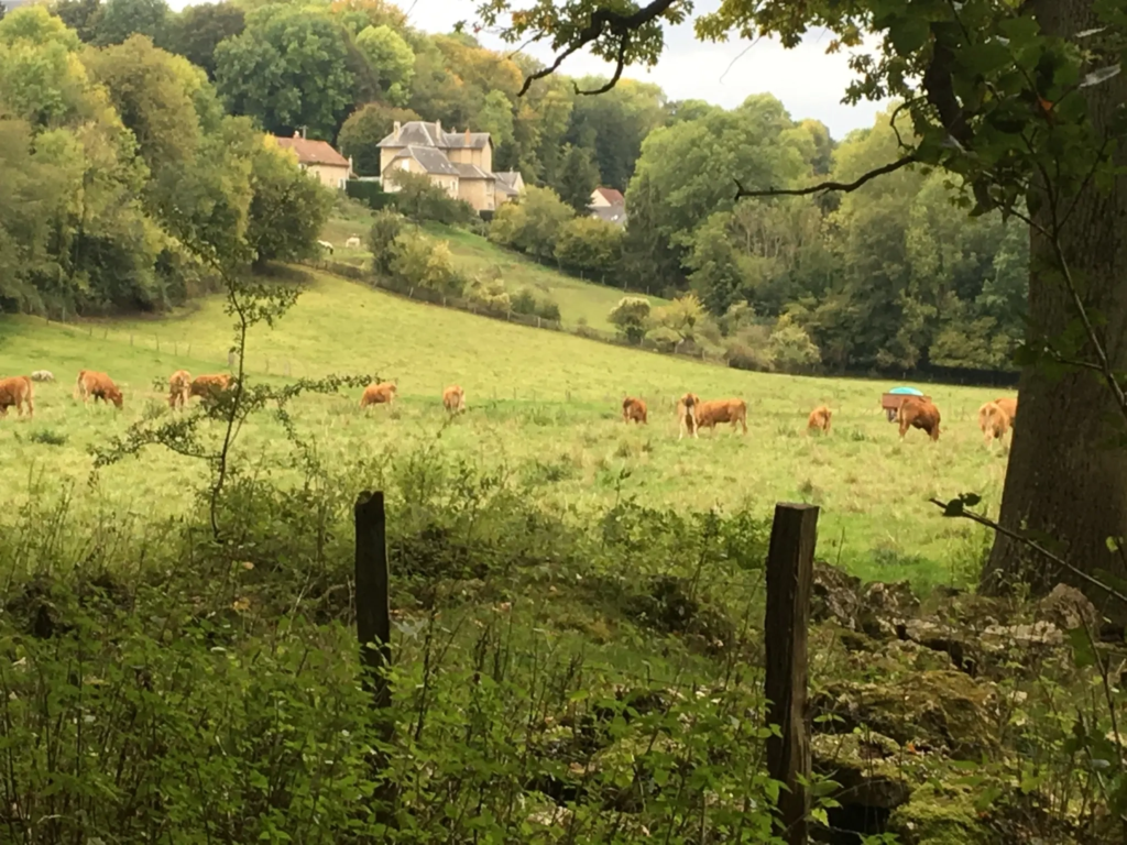Paysage de campagne autour de Cutry, dans l'Aisne